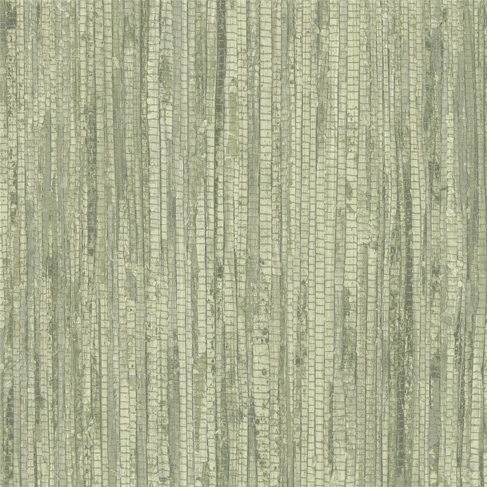 Patton Wallcoverings G67962 Organic Textures Rough Grass Wallpaper